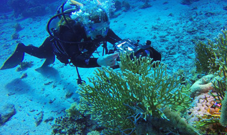PADI Open Water Diver Course in Sharm El Sheikh
