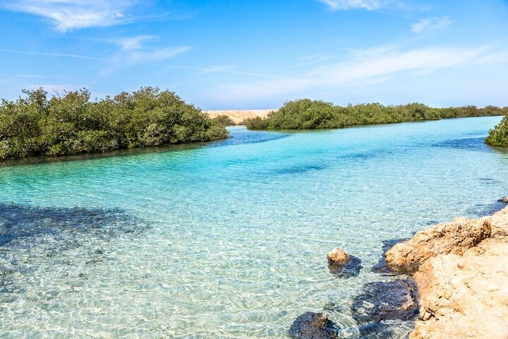 Ras Mohammed or White Island: Which Sharm El Sheikh Experience Is Better