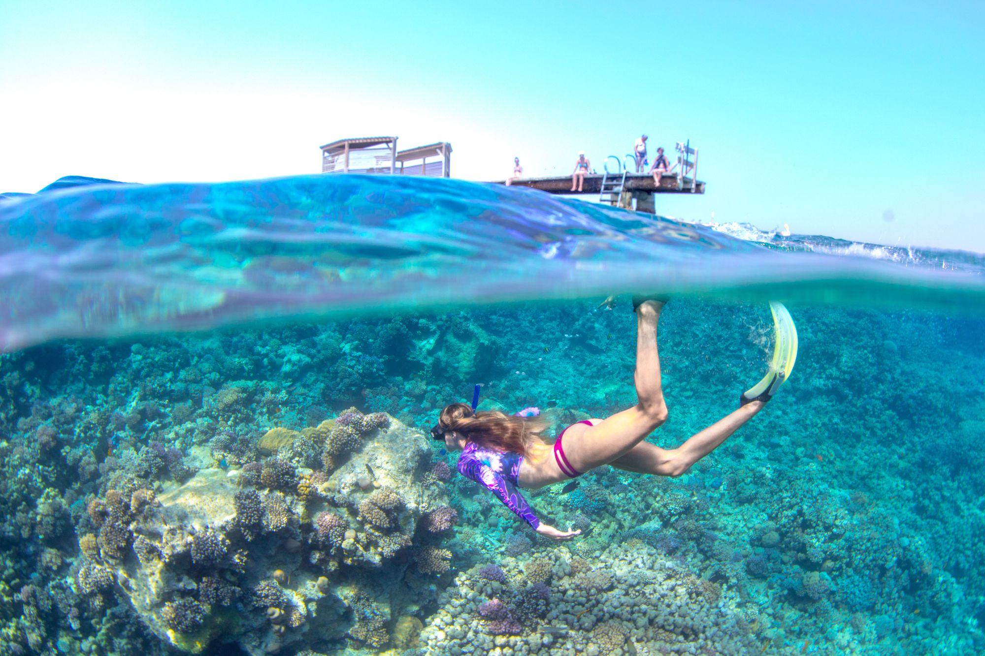 Your First Snorkeling Trip in Sharm El Sheikh