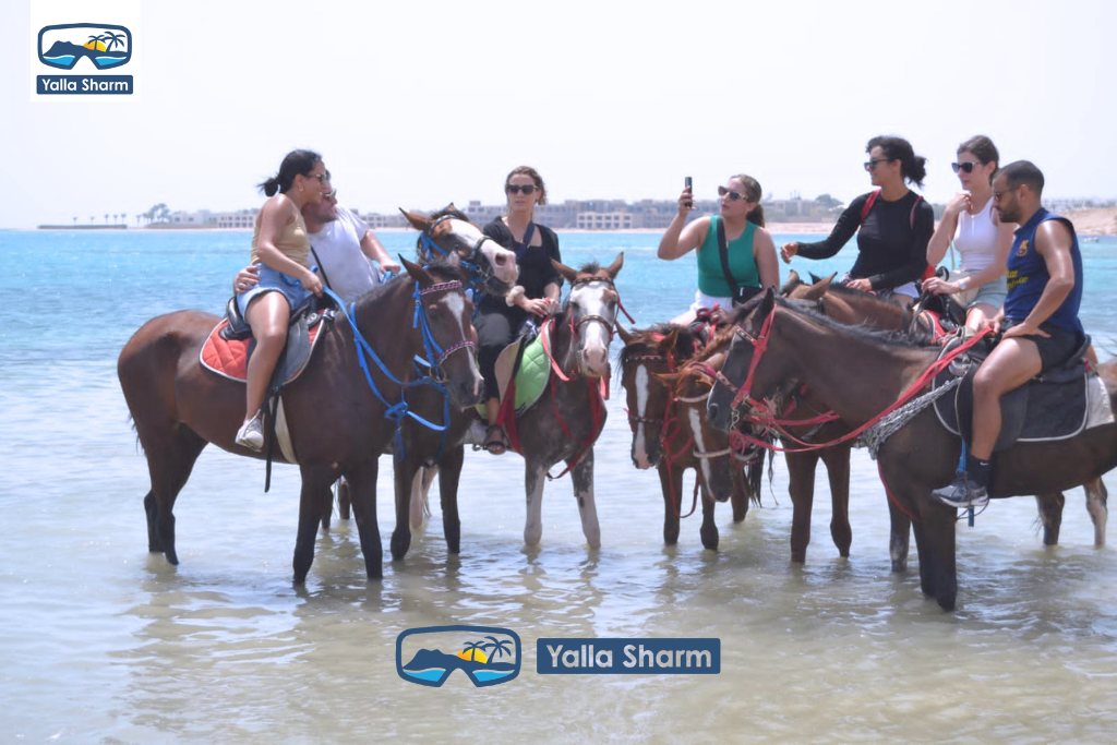 Horse Riding In Sharm El Sheikh