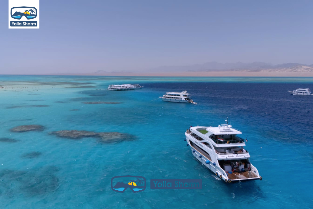 Premium Boat Trip In Sharm El sheikh - White Island and Ras Mohammed
