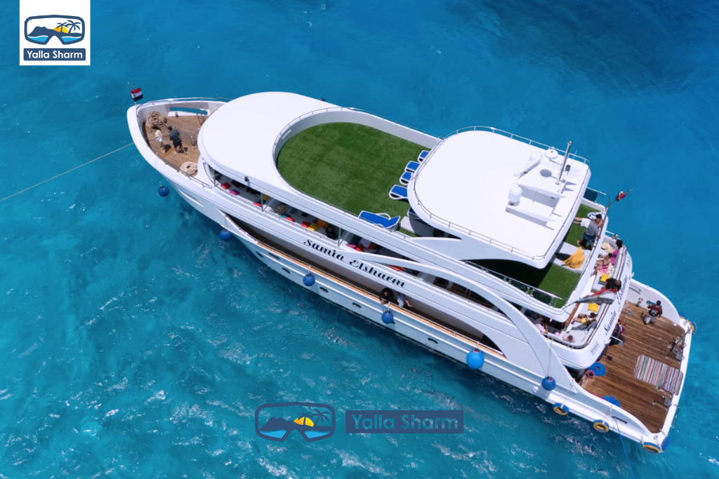 Premium Boat Trip In Sharm El sheikh - White Island and Ras Mohammed