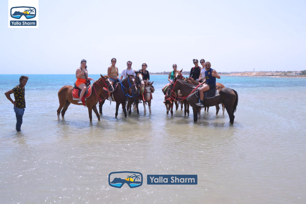 Horse Riding In Sharm El Sheikh