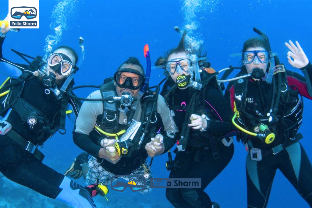 Premium Boat Trip In Sharm El sheikh - White Island and Ras Mohammed
