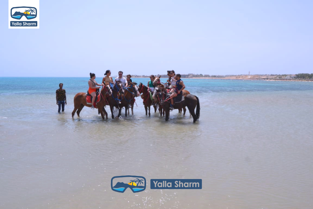 Horse Riding In Sharm El Sheikh
