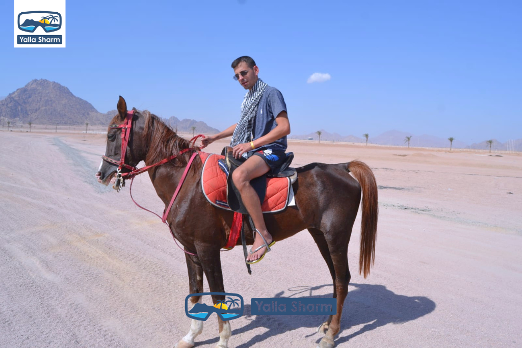 Horse Riding In Sharm El Sheikh
