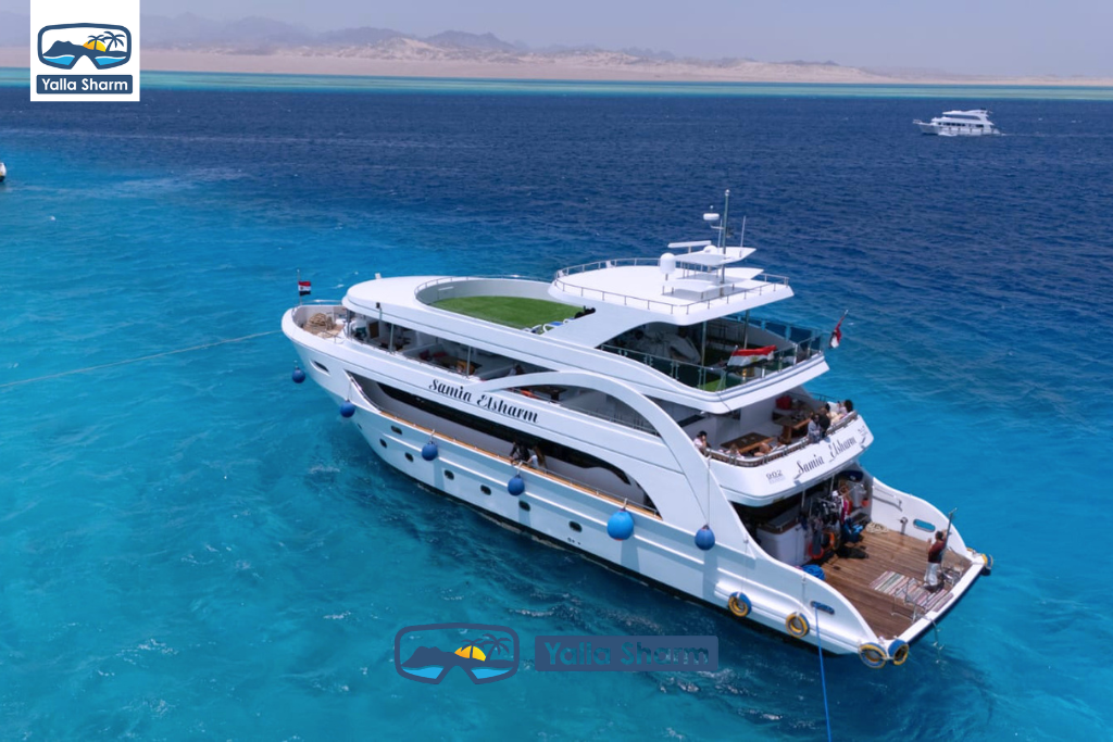 Premium Boat Trip In Sharm El sheikh - White Island and Ras Mohammed
