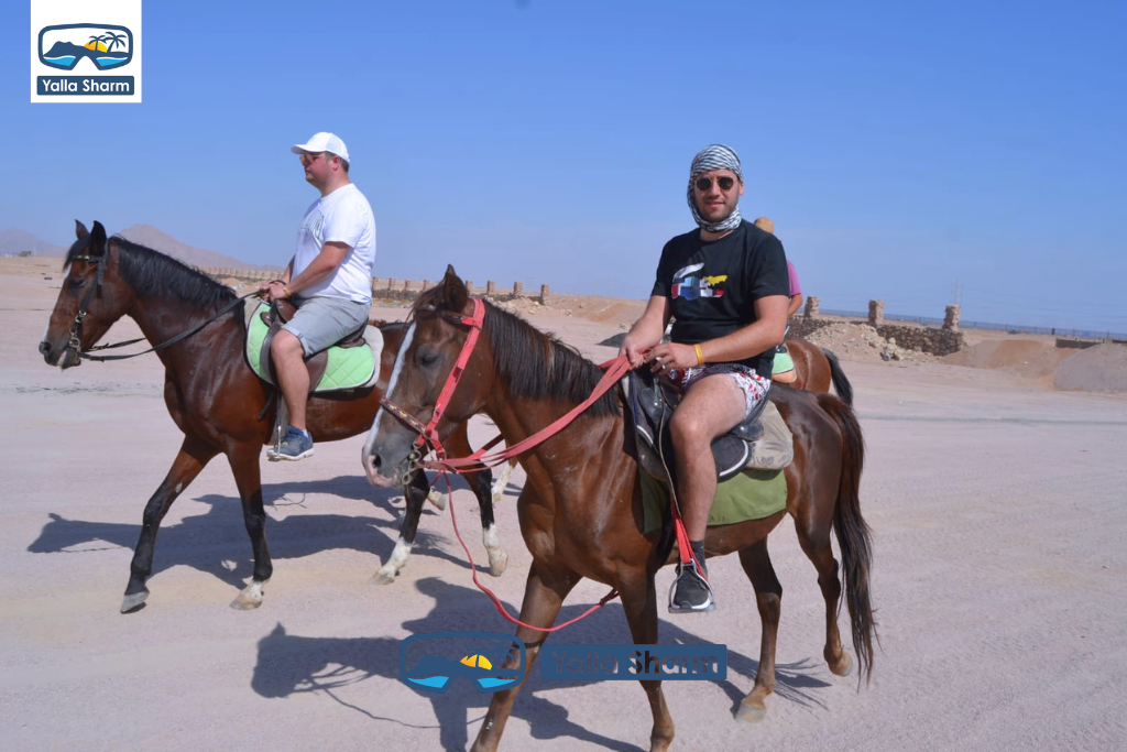 Horse Riding In Sharm El Sheikh