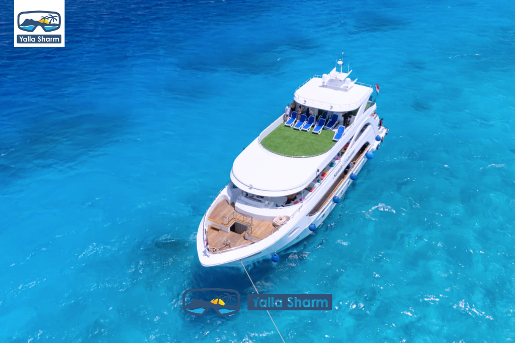 Premium Boat Trip In Sharm El sheikh - White Island and Ras Mohammed