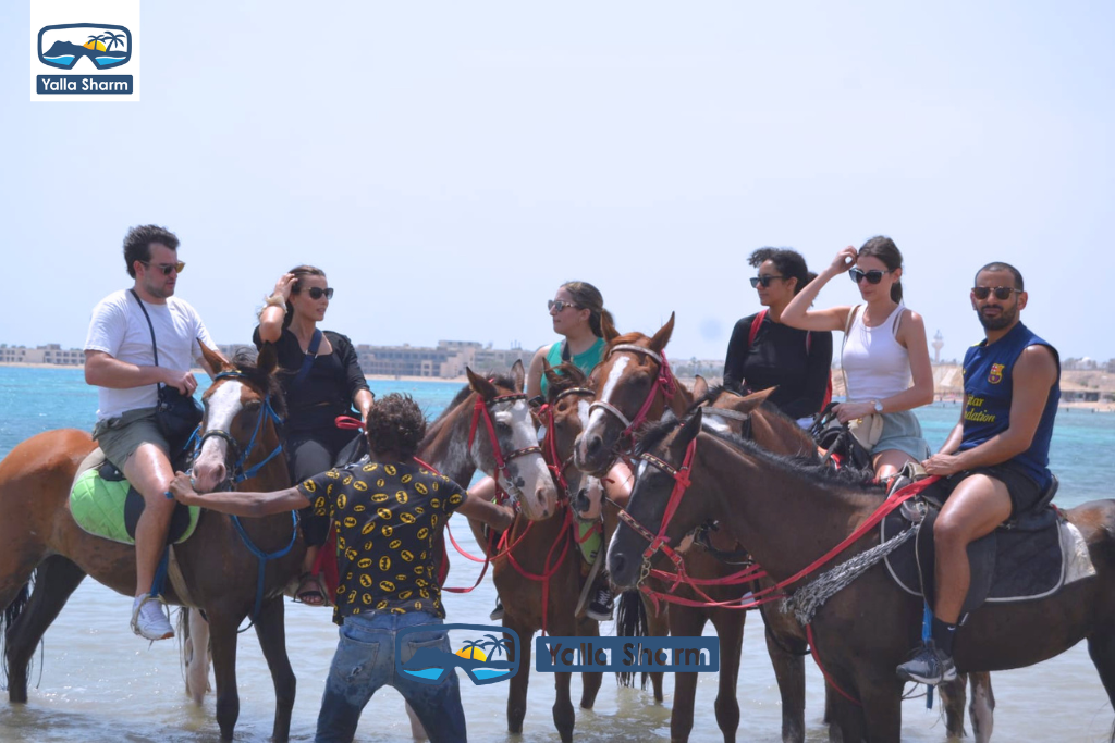 Horse Riding In Sharm El Sheikh