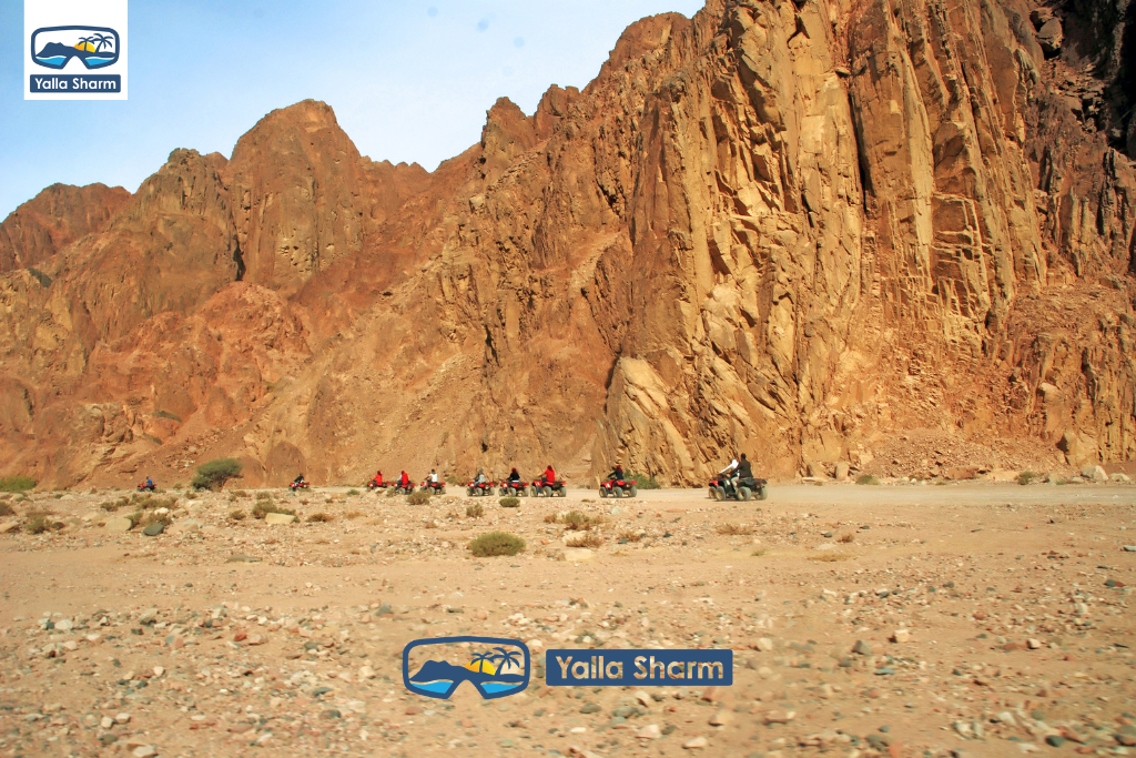 Dahab’da ATV Quad Bike Turu