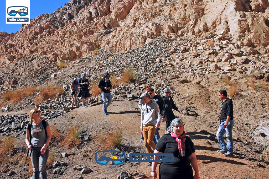 Dahab’da ATV Quad Bike Turu