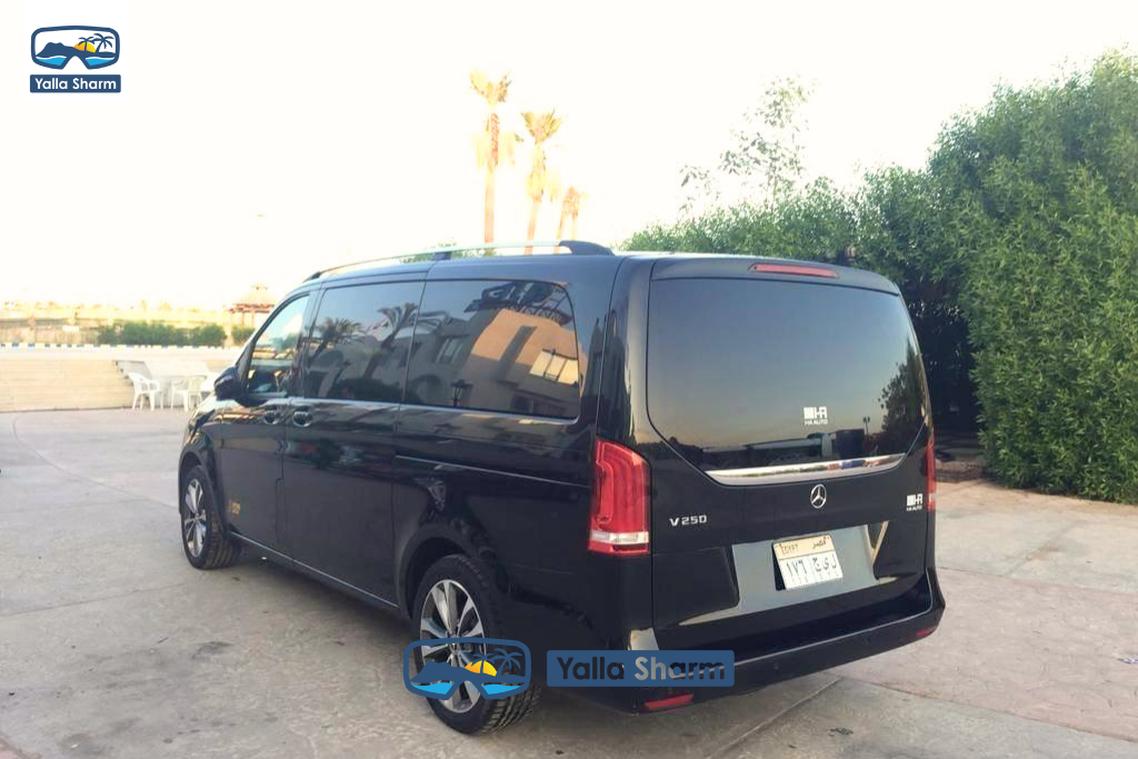 Mercedes Viano 2023