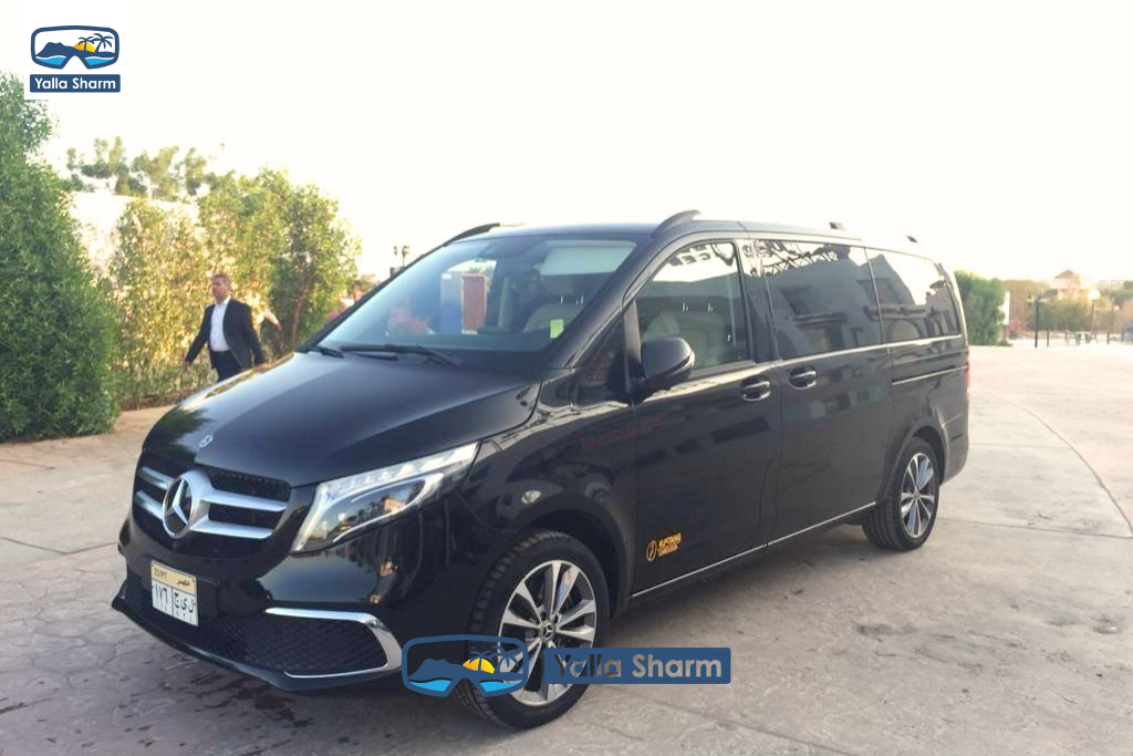 Mercedes Viano 2023-Taba